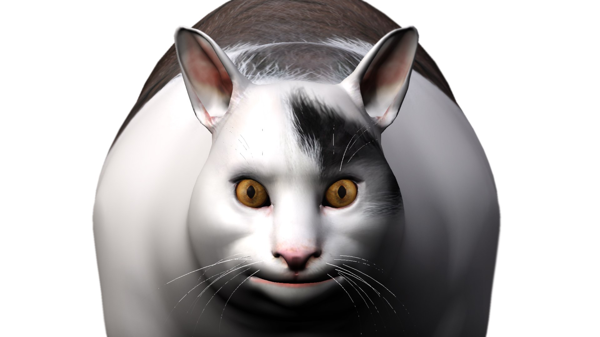 Cat Face Meme - Download Free 3D model by juanjoalas (@juanjoalasmorel)  [1679f37]