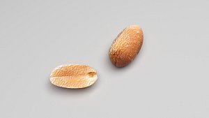 Peanut