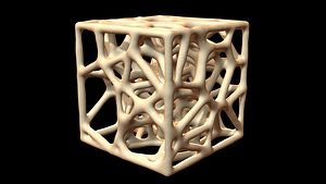 3D model sponge bone structure