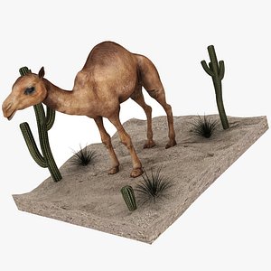 3D camel desert cactus sand