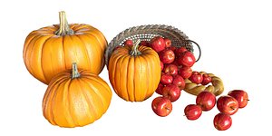 Apples Pumpkin Bread Basket 3D