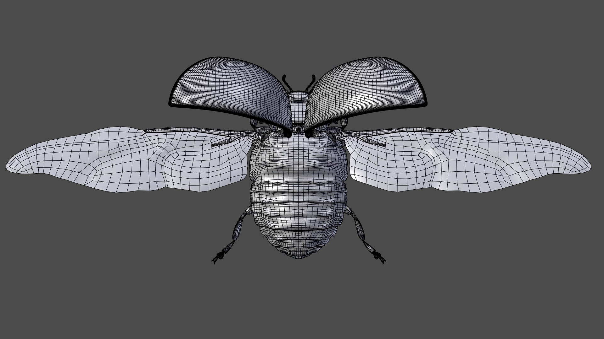 ladybug animations 3D model https://p.turbosquid.com/ts-thumb/ws/XYP6n5/RxfyIF7B/ladybug_wire05/png/1590517559/1920x1080/fit_q87/3efd63c8c7bc2ee8bf8d7df6aad62001481658bf/ladybug_wire05.jpg