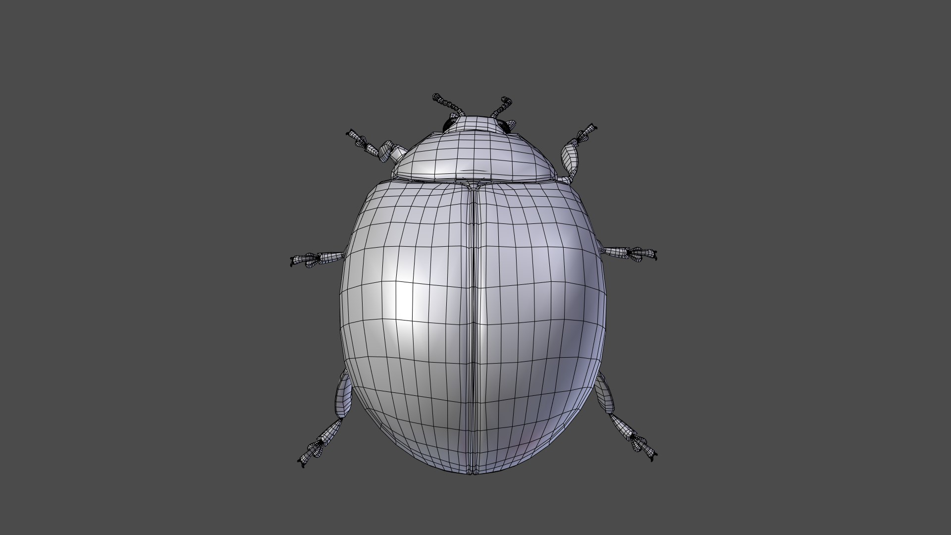 ladybug animations 3D model https://p.turbosquid.com/ts-thumb/ws/XYP6n5/T8QHzmeu/ladybug_wire101/png/1590517716/1920x1080/fit_q87/a5136d65e610b2c0c13b098c3b69ddbea7433f5f/ladybug_wire101.jpg
