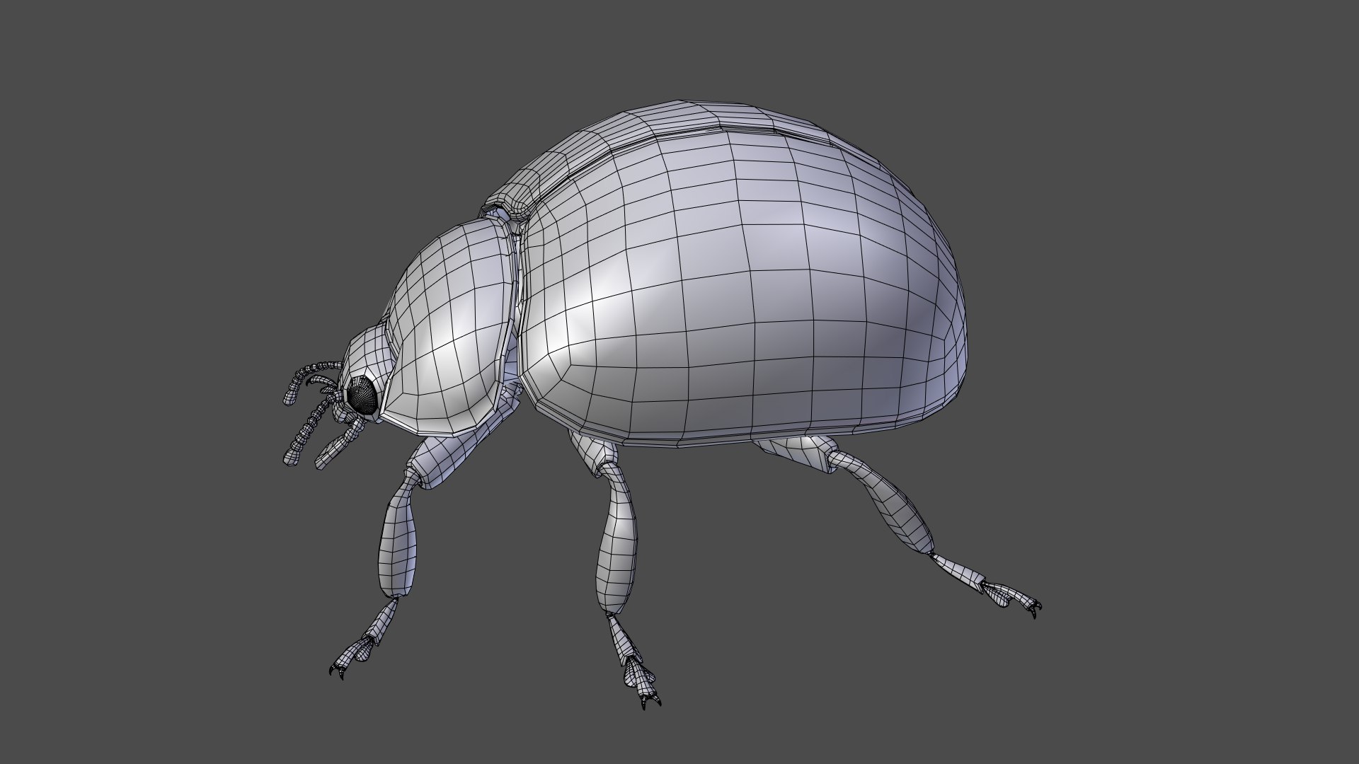 ladybug animations 3D model https://p.turbosquid.com/ts-thumb/ws/XYP6n5/UTPPEdpu/ladybug_wire091/png/1590517687/1920x1080/fit_q87/e3243c5f0a40baecc7ca78a06ae9580a36497b5b/ladybug_wire091.jpg