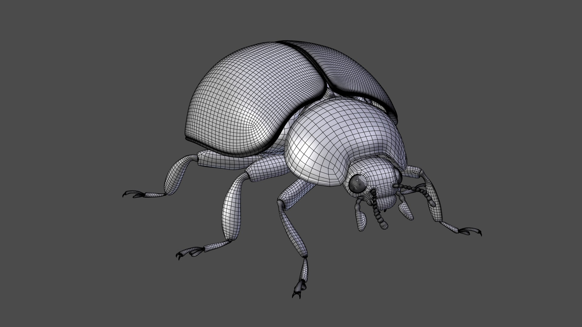 ladybug animations 3D model https://p.turbosquid.com/ts-thumb/ws/XYP6n5/Zg52JuW2/ladybug_wire06/png/1590517576/1920x1080/fit_q87/e9a8fedbd2d7daa98f7d13b41cb496cf83c27a5a/ladybug_wire06.jpg