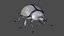 2020 Ladybug