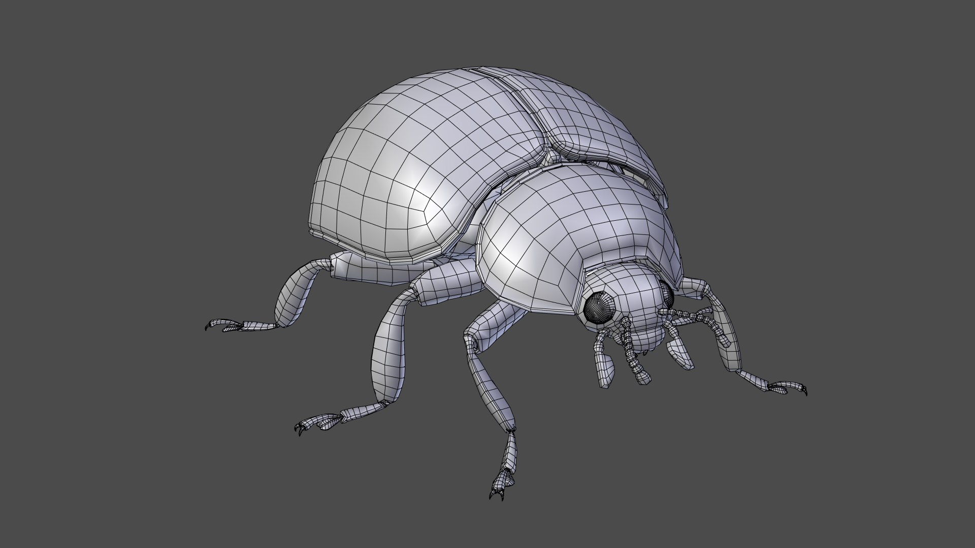ladybug animations 3D model https://p.turbosquid.com/ts-thumb/ws/XYP6n5/cTutlzBK/ladybug_wire061/png/1590517583/1920x1080/fit_q87/b93d667591165df96a50c4be464a6d91c1f52534/ladybug_wire061.jpg