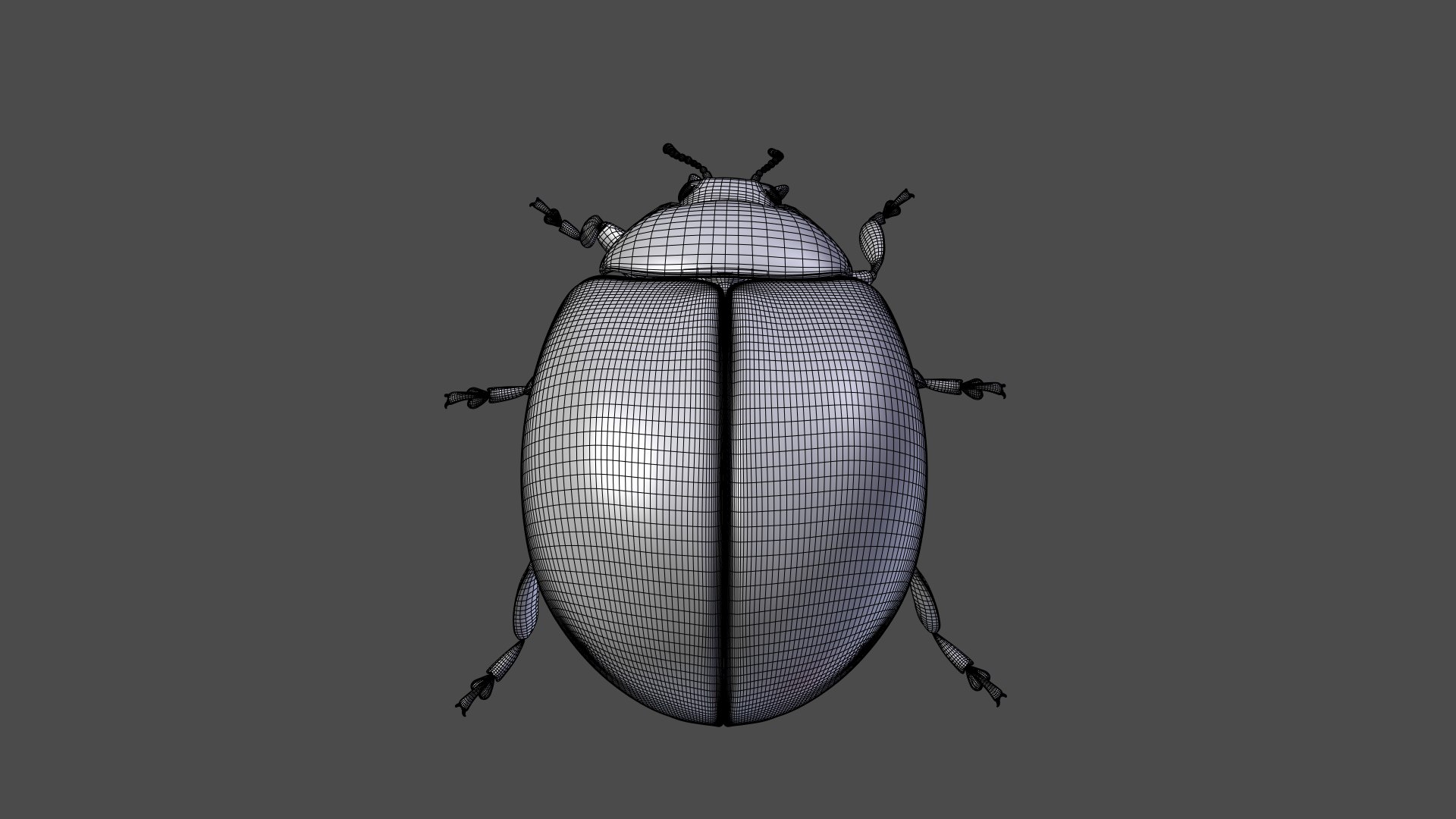 ladybug animations 3D model https://p.turbosquid.com/ts-thumb/ws/XYP6n5/lrZy2rk9/ladybug_wire10/png/1590517703/1920x1080/fit_q87/27f9e102c988c1f56cad0696e22717ad25ad61d3/ladybug_wire10.jpg