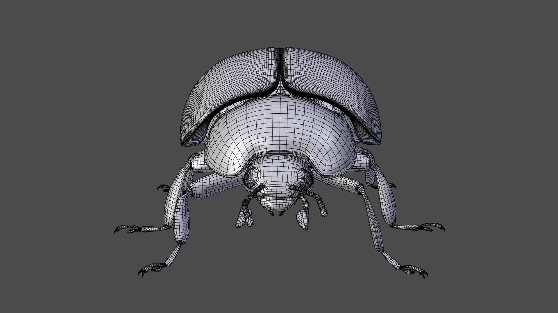 ladybug animations 3D model https://p.turbosquid.com/ts-thumb/ws/XYP6n5/nya8p5pw/ladybug_wire07/png/1590517593/1920x1080/fit_q87/e8bcc694ffdfa60a9b62d7a86a86dc31ca1af109/ladybug_wire07.jpg