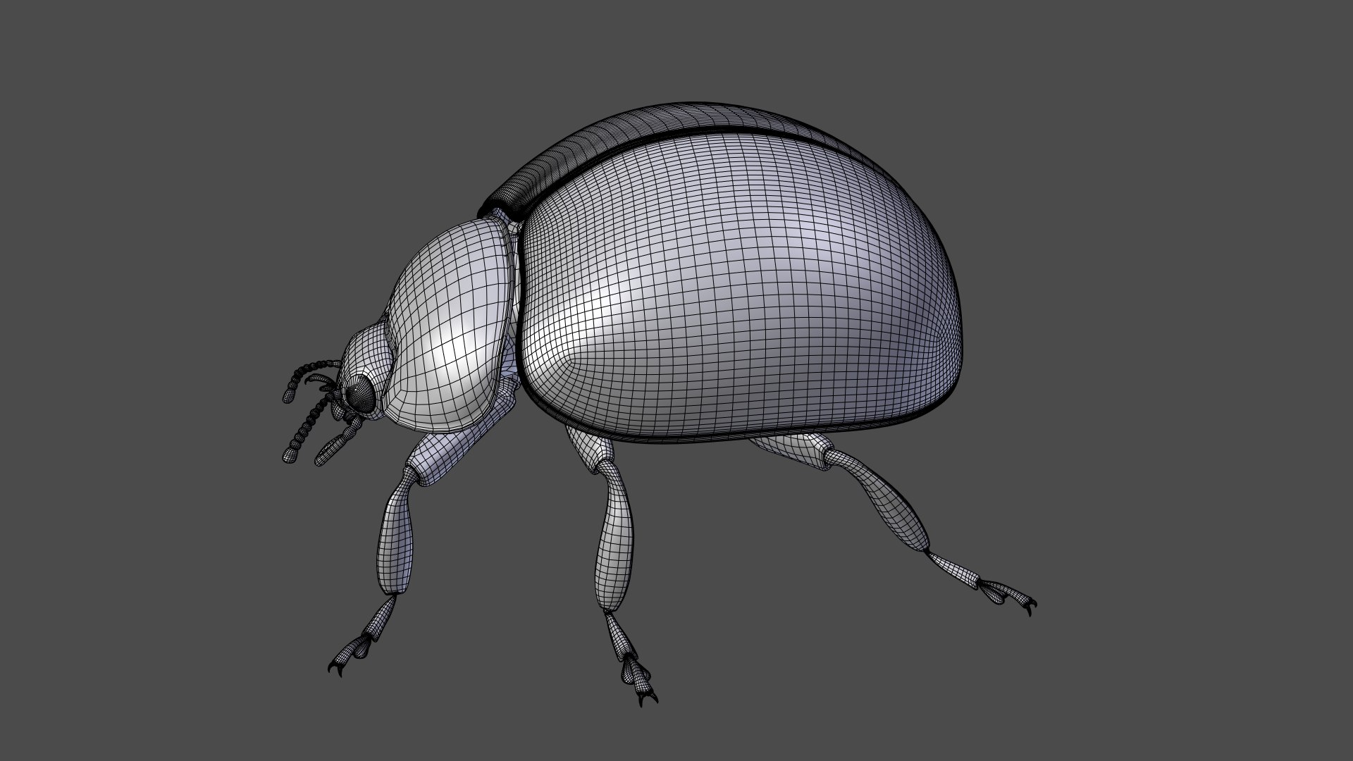 ladybug animations 3D model https://p.turbosquid.com/ts-thumb/ws/XYP6n5/rPpfMyKB/ladybug_wire09/png/1590517660/1920x1080/fit_q87/9e721ed8d522f876b4f488263517e01e9f635d3e/ladybug_wire09.jpg