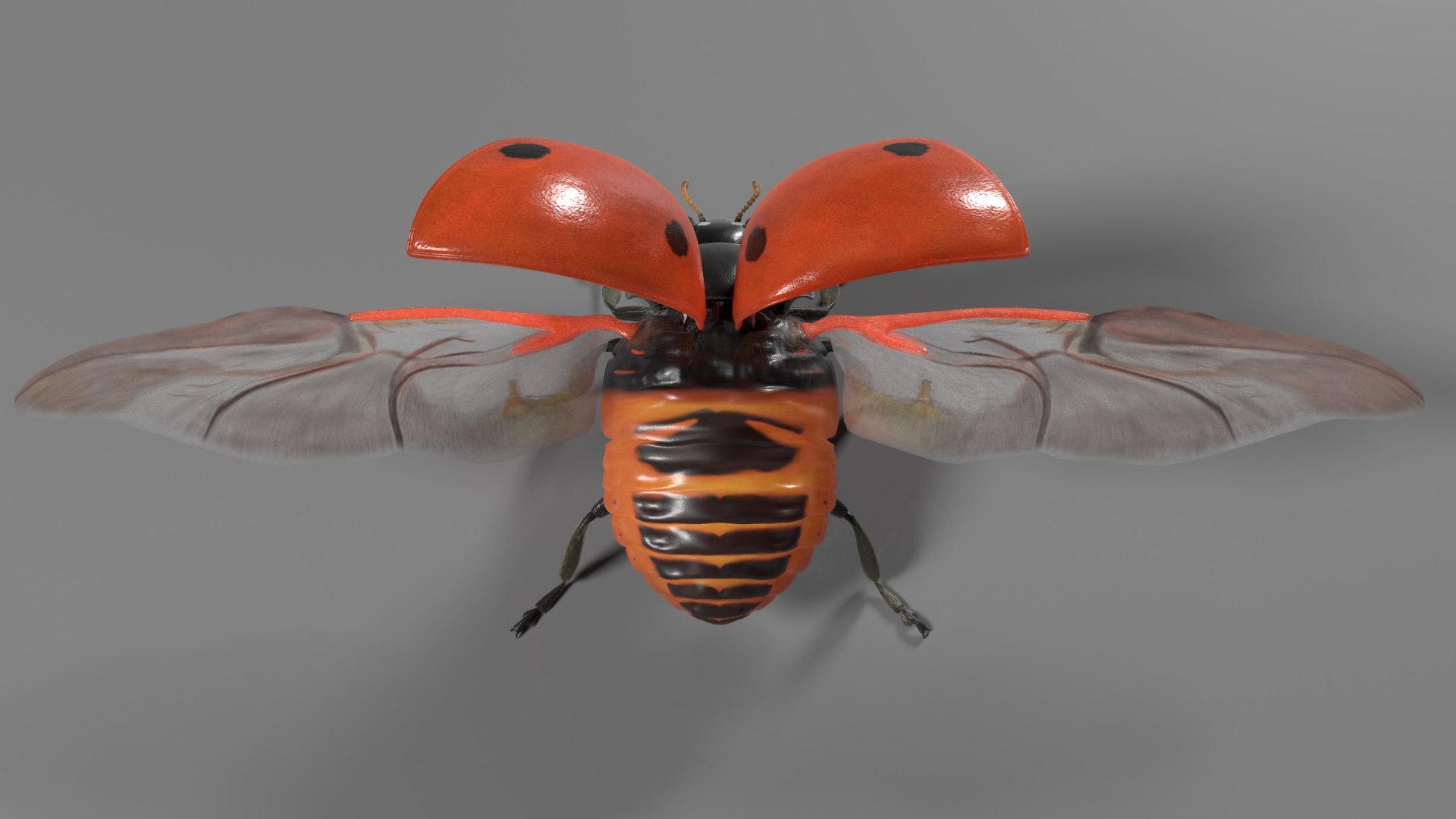 ladybug animations 3D model https://p.turbosquid.com/ts-thumb/ws/XYP6n5/tat58qv5/ladybug_effectmap05/png/1590516950/1920x1080/fit_q87/9c5ee3201b6a587b8af21a2b838614814b4e89d0/ladybug_effectmap05.jpg