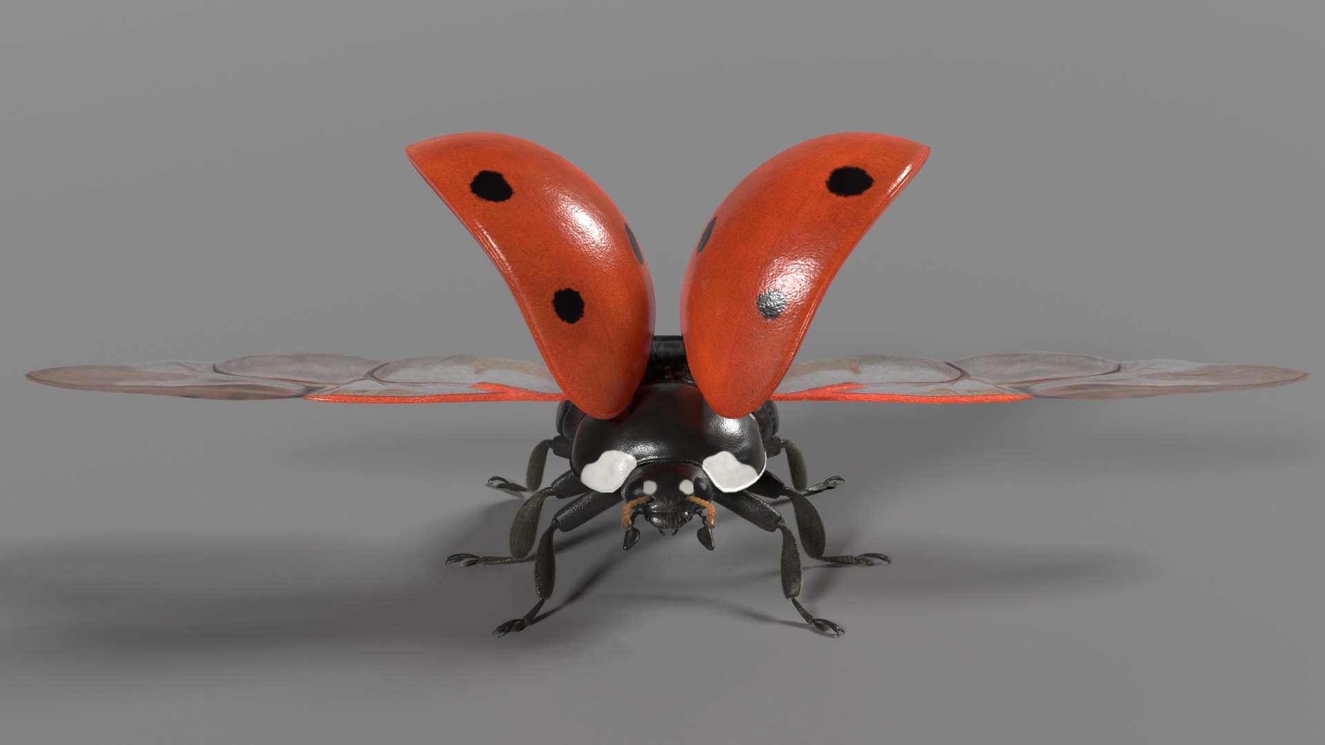 ladybug animations 3D model https://p.turbosquid.com/ts-thumb/ws/XYP6n5/xzHFhk0T/ladybug_effectmap02/png/1590516905/1920x1080/fit_q87/f31264ed4996a1de833172351953250d4d88316e/ladybug_effectmap02.jpg