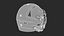 Riddell SpeedFlex Adult Football Helmet with Facemask