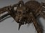 3d model of monster spider