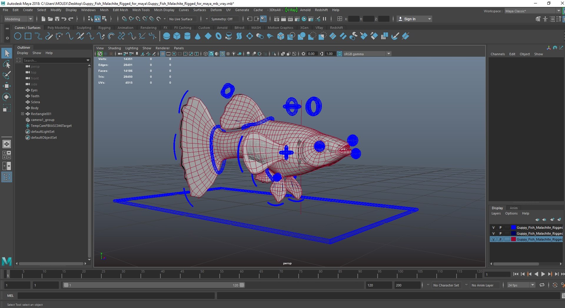 Guppy Fish Malachite Rigged for Maya 3D model https://p.turbosquid.com/ts-thumb/ws/gaAGT8/3p/guppyfishmalachiteriggedformayavray3dmodel039/jpg/1725543746/1920x1080/fit_q87/0553e80cc0925eeb07fa97381c1e5c2b58e627e2/guppyfishmalachiteriggedformayavray3dmodel039.jpg