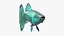 Guppy Fish Malachite Rigged for Maya