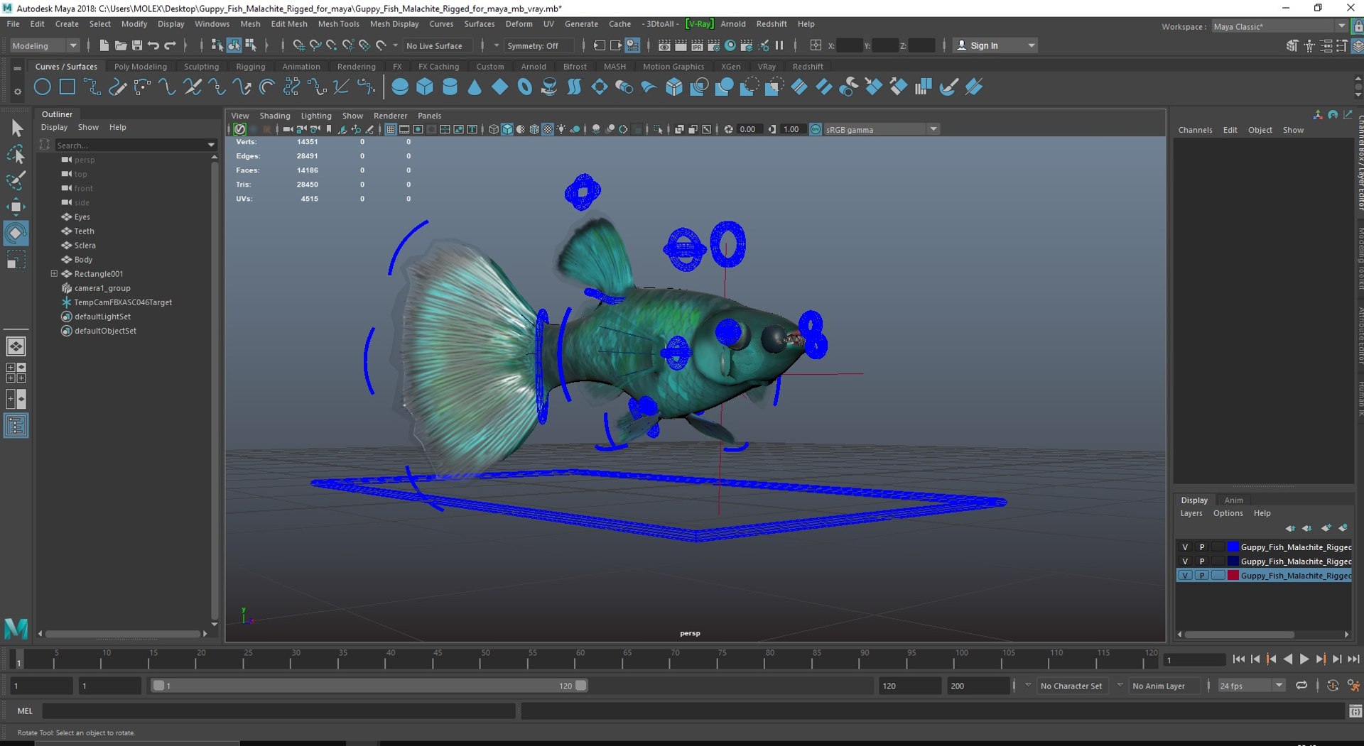 Guppy Fish Malachite Rigged for Maya 3D model https://p.turbosquid.com/ts-thumb/ws/gaAGT8/Q6/guppyfishmalachiteriggedformayavray3dmodel041/jpg/1725543754/1920x1080/fit_q87/071c6d7e6c4aaf1600150c890a0c13c0bb6dad81/guppyfishmalachiteriggedformayavray3dmodel041.jpg