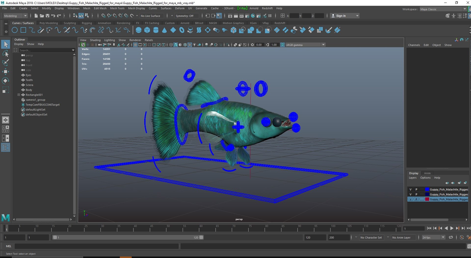 Guppy Fish Malachite Rigged for Maya 3D model https://p.turbosquid.com/ts-thumb/ws/gaAGT8/Wq/guppyfishmalachiteriggedformayavray3dmodel038/jpg/1725543741/1920x1080/fit_q87/e3e6be462724c1790e0658bbaf6e3f630a1f1960/guppyfishmalachiteriggedformayavray3dmodel038.jpg