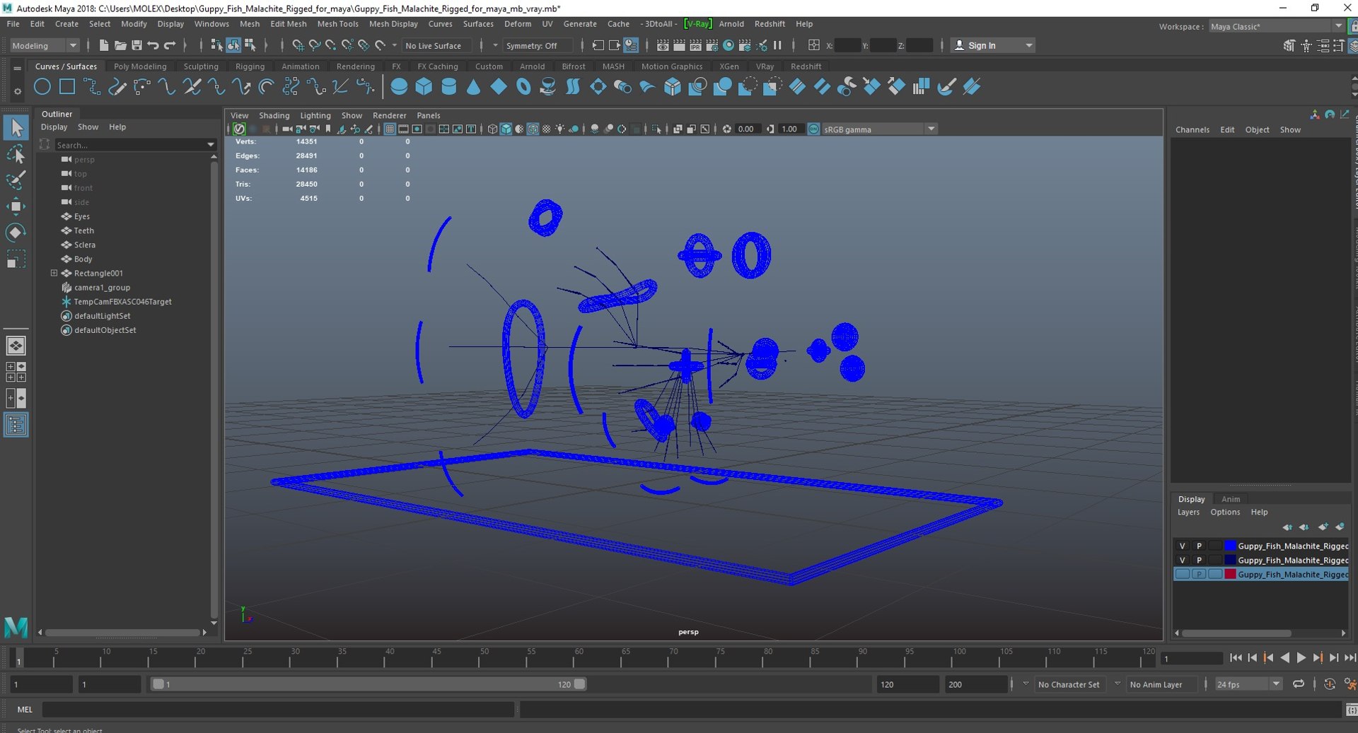 Guppy Fish Malachite Rigged for Maya 3D model https://p.turbosquid.com/ts-thumb/ws/gaAGT8/XV/guppyfishmalachiteriggedformayavray3dmodel040/jpg/1725543750/1920x1080/fit_q87/06adca5b2a15e2970c3802398487dc1f36923728/guppyfishmalachiteriggedformayavray3dmodel040.jpg