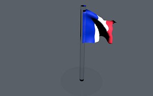 french flag