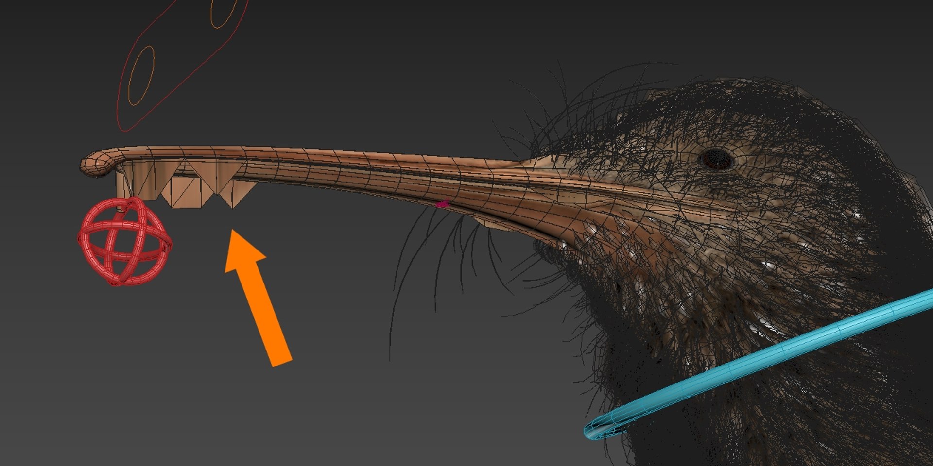 Kiwi Bird Fur Rigged 3D model preview