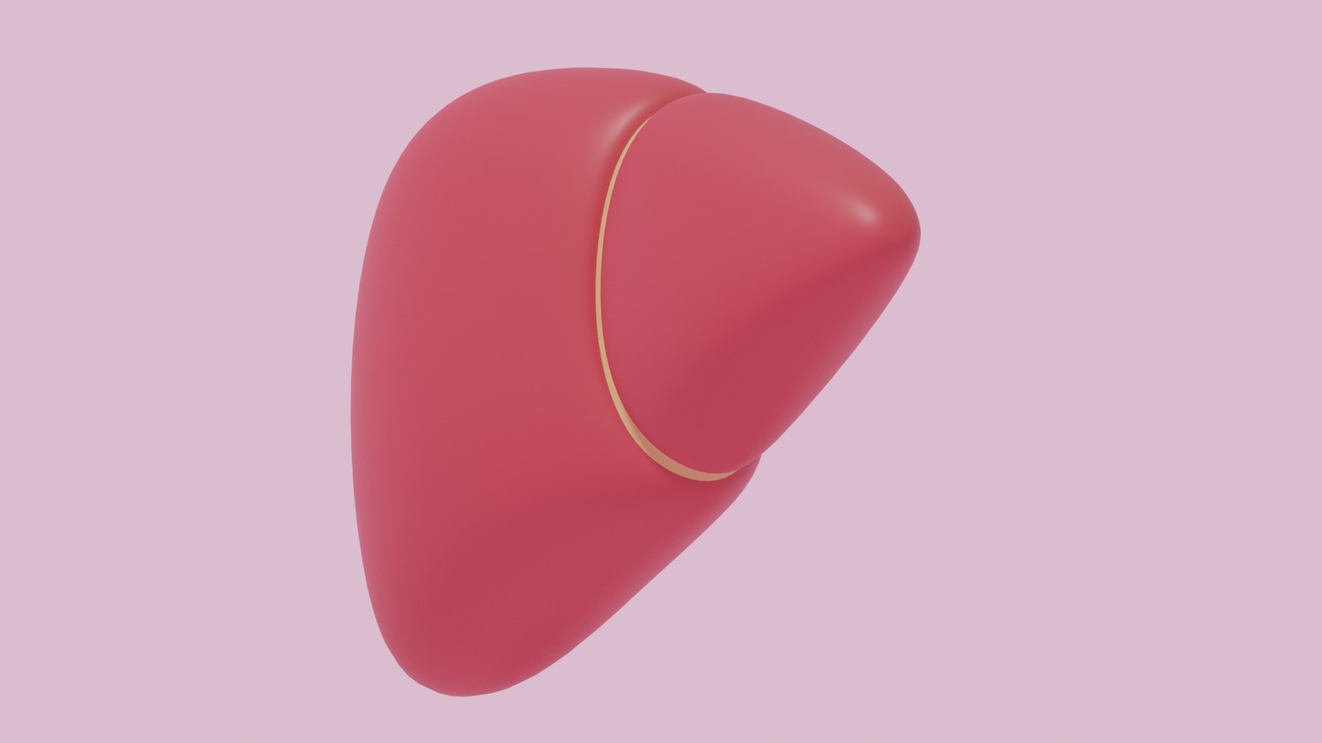 3D Cartoon Liver Stylized https://p.turbosquid.com/ts-thumb/ws/pXtnk3/eF/untitled2/png/1768638590/1920x1080/fit_q87/6c714bfc65480060b969313e0ea58d253954a242/untitled2.jpg