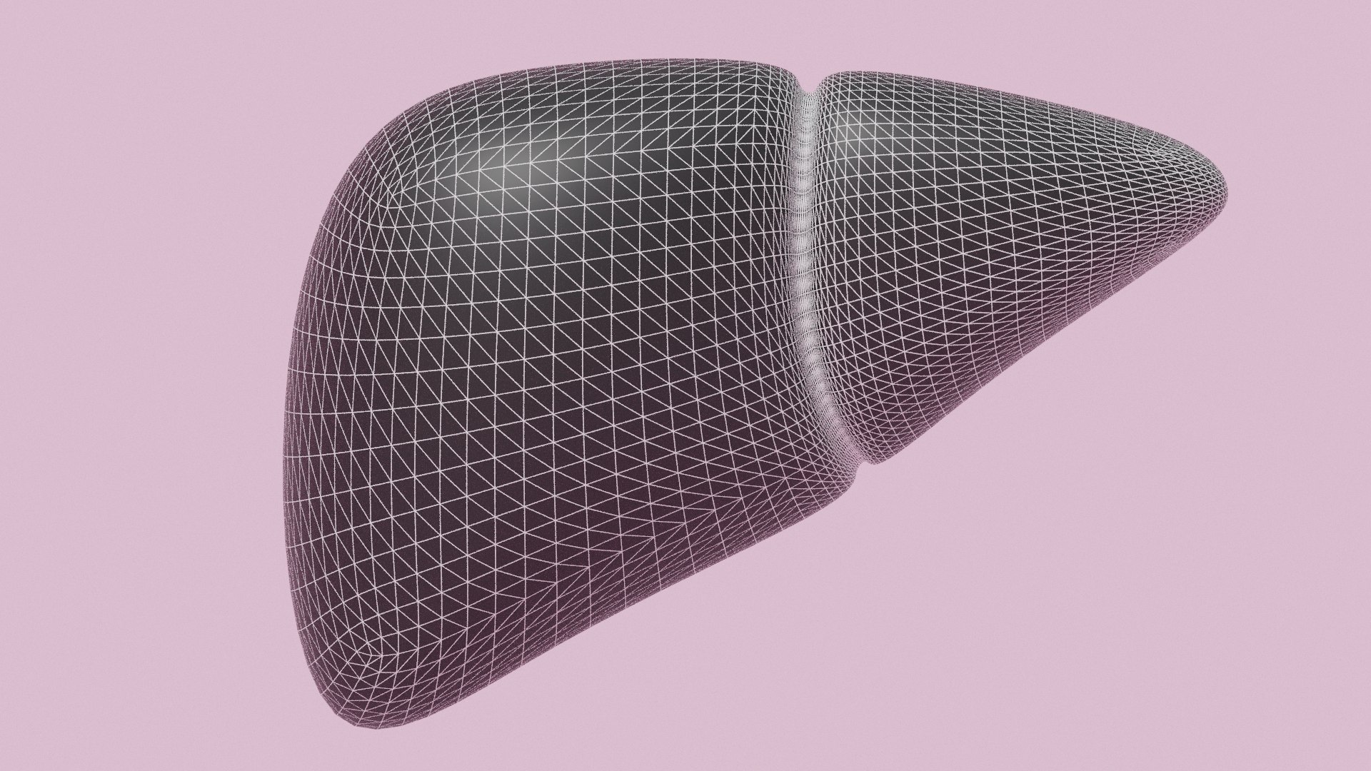 3D Cartoon Liver Stylized https://p.turbosquid.com/ts-thumb/ws/pXtnk3/vX/untitled12/png/1768638610/1920x1080/fit_q87/07c0859a8420dcf404b284cfae296f6949a6671d/untitled12.jpg