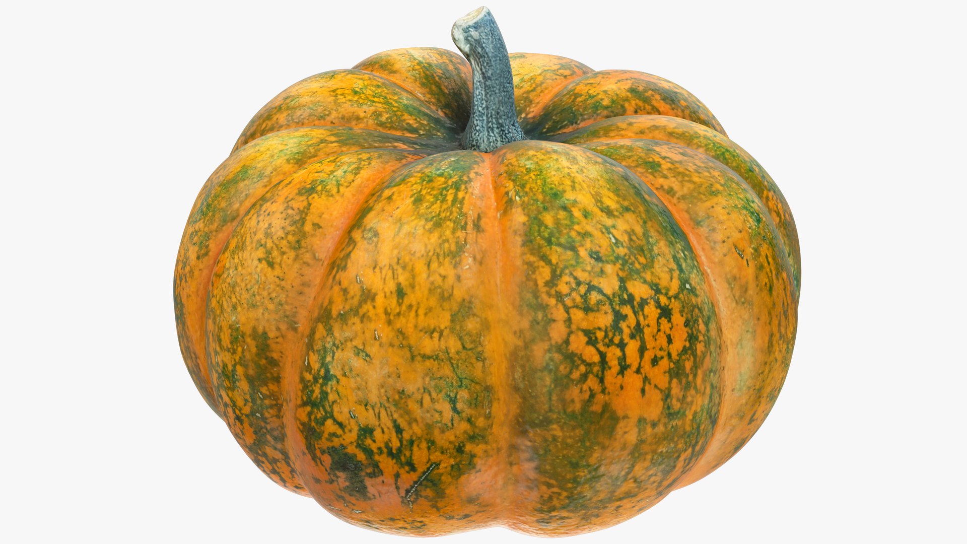 3D Pumpkins Collection V8 https://p.turbosquid.com/ts-thumb/ws/uZLGgb/Nu/p7_001/png/1705708070/1920x1080/fit_q87/ce54e1ebc3780c35cf07efca34daa3b896cc0115/p7_001.jpg