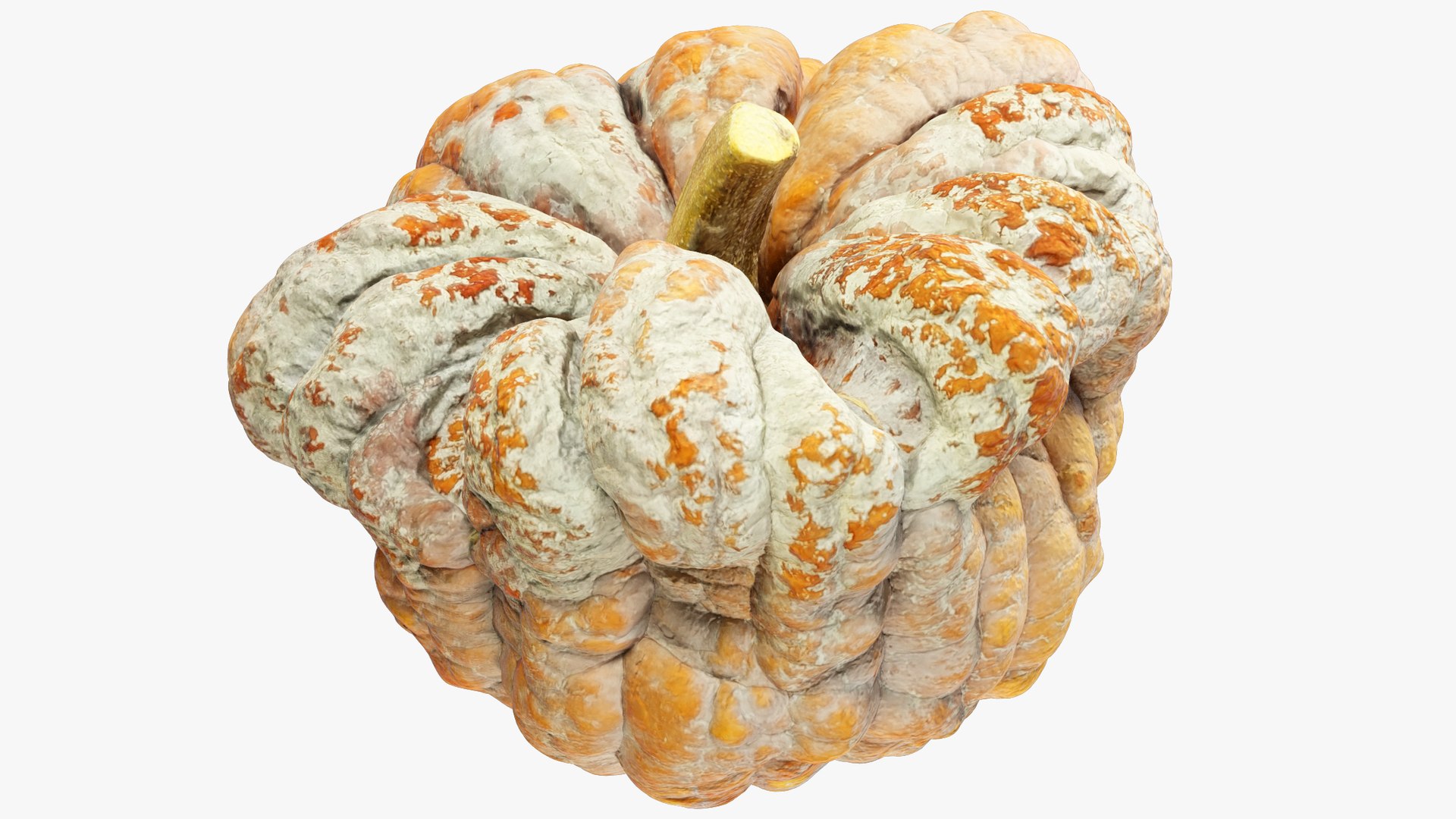 3D Pumpkins Collection V8 https://p.turbosquid.com/ts-thumb/ws/uZLGgb/Yb/pump8_004_001/png/1705709425/1920x1080/fit_q87/b02768f35dd05957a47964c9862b5a70e4d6955e/pump8_004_001.jpg