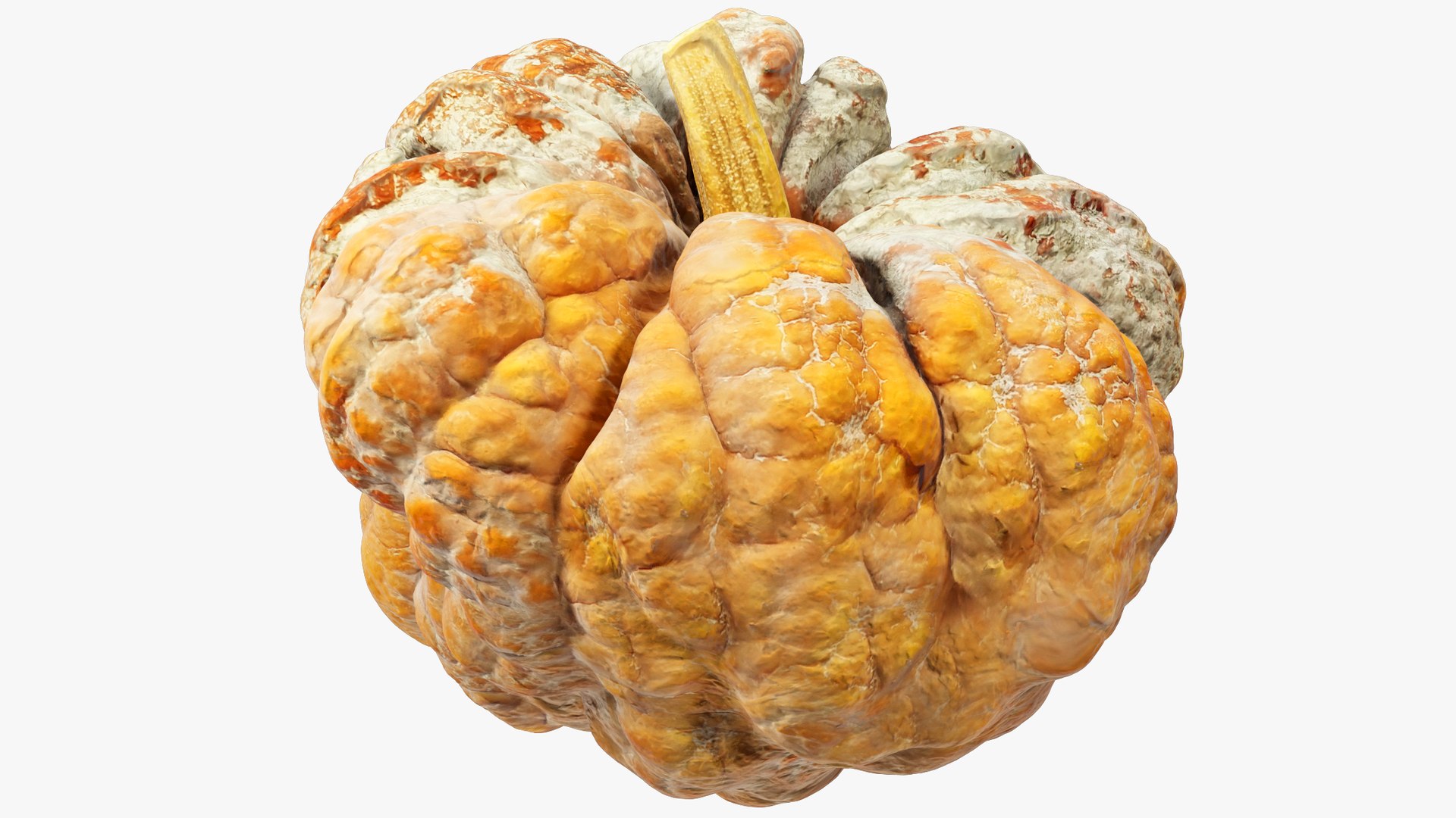 3D Pumpkins Collection V8 https://p.turbosquid.com/ts-thumb/ws/uZLGgb/iC/pump8_004_007/png/1705709433/1920x1080/fit_q87/3e376598996cfbc69e7f38320afe423d02fa7135/pump8_004_007.jpg