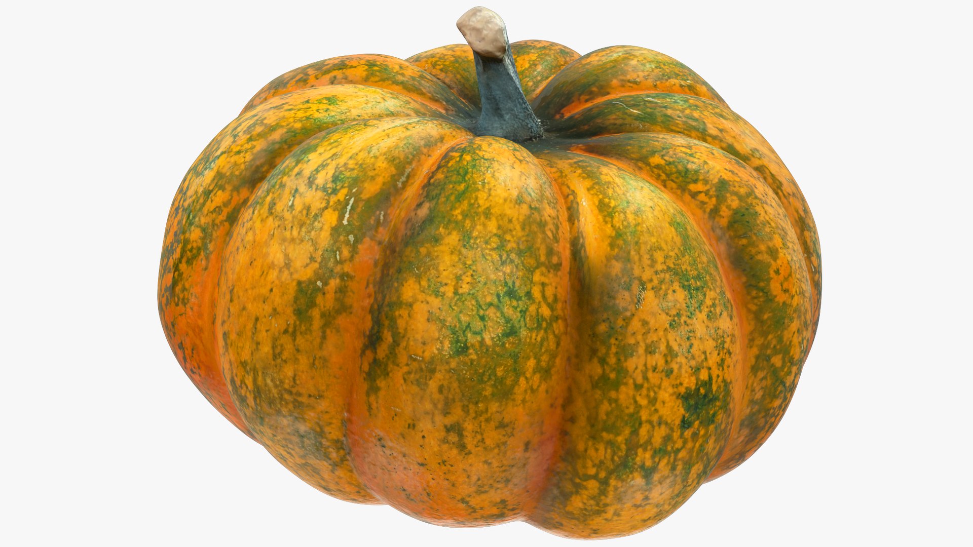 3D Pumpkins Collection V8 https://p.turbosquid.com/ts-thumb/ws/uZLGgb/kQ/p7_004_008/png/1705708041/1920x1080/fit_q87/570d2f99ab5347bc29b5b0a9b7929cfa52978102/p7_004_008.jpg