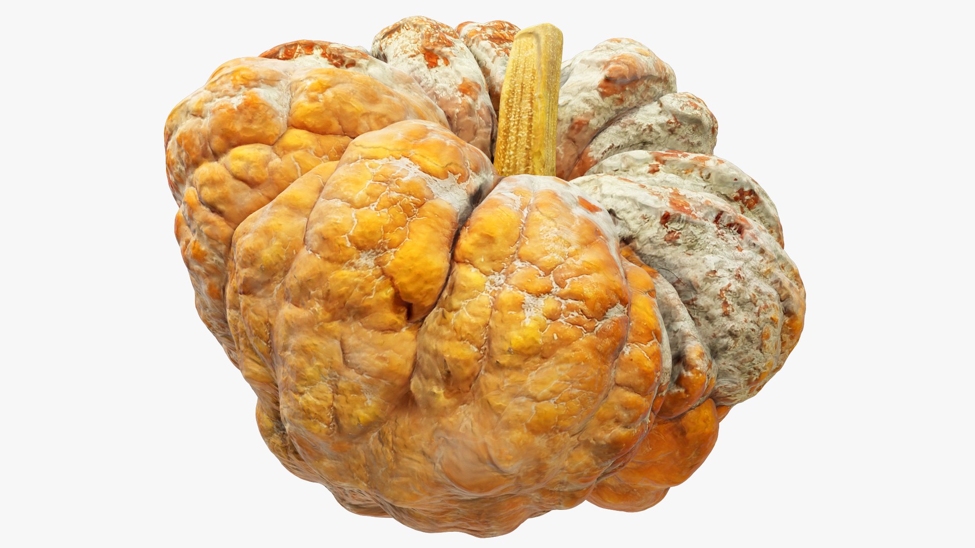 3D Pumpkins Collection V8 https://p.turbosquid.com/ts-thumb/ws/uZLGgb/oX/pump8_004_008/png/1705709434/1920x1080/fit_q87/e4c8ce3ee0f42095344fbe99d42ed786c3668ece/pump8_004_008.jpg