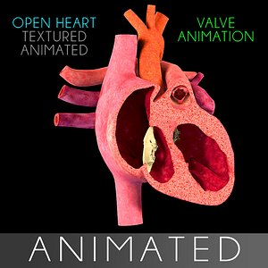 open heart section animation 3d model