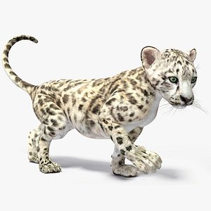 Snow Leopard Cub Rigged for Cinema 4D