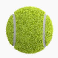 Tennis Ball