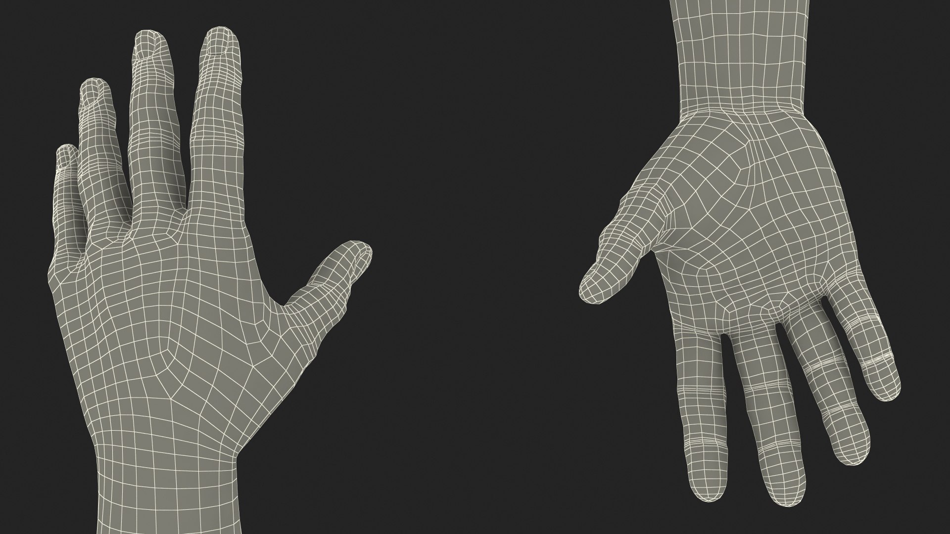 3D Realistic Human Arms And Hands Fur - TurboSquid 2387384