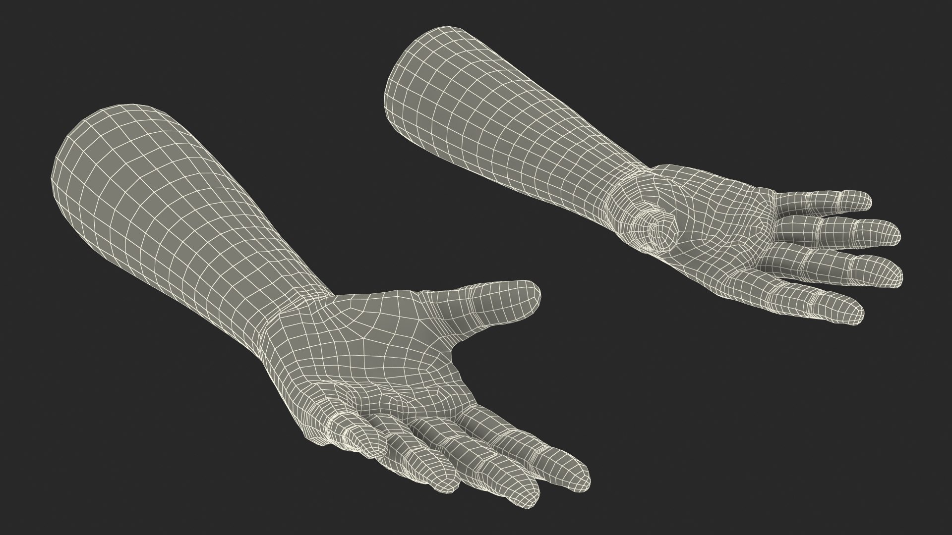 3D Realistic Human Arms And Hands Fur - TurboSquid 2387384