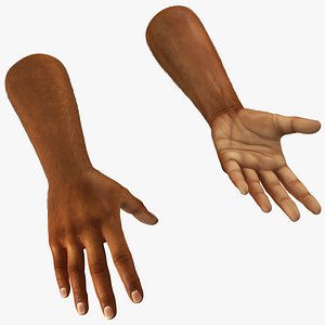 3D Realistic Human Arms and Hands Fur
