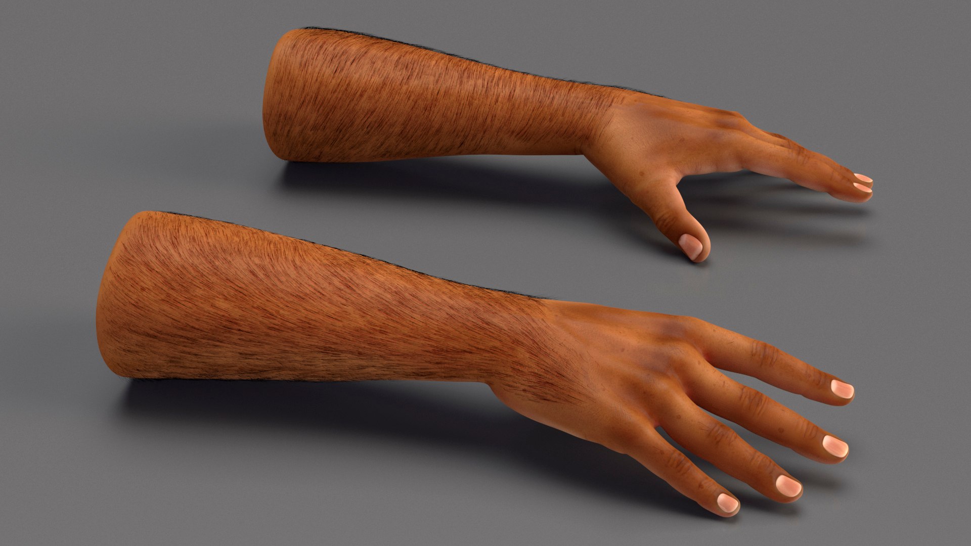 3D Realistic Human Arms And Hands Fur - TurboSquid 2387384