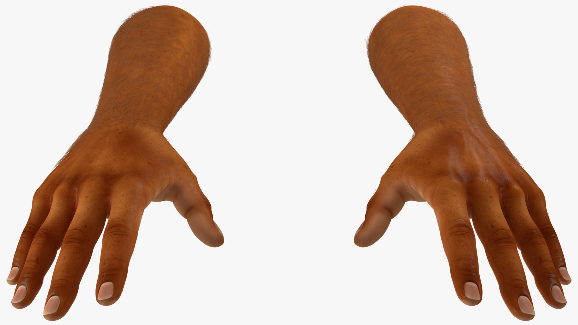3D Realistic Human Arms And Hands Fur - TurboSquid 2387384