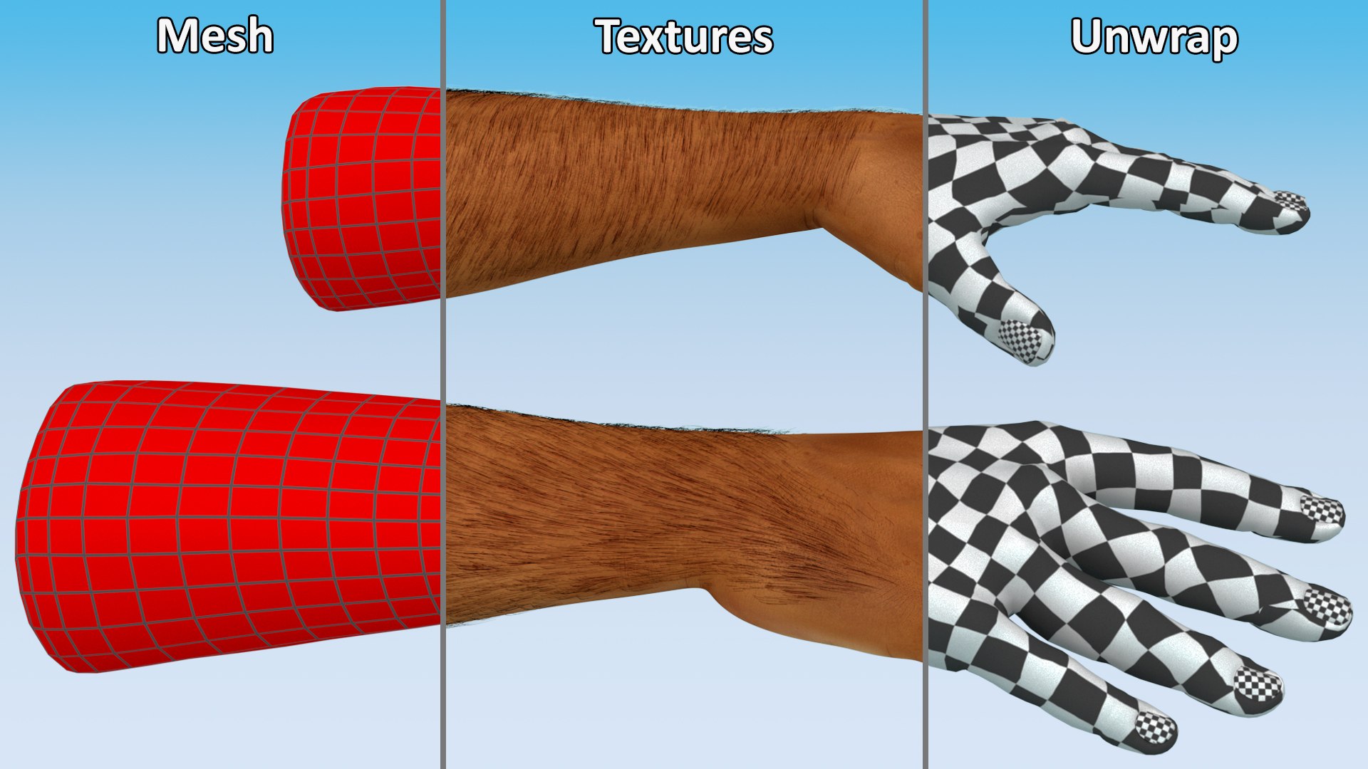 3D Realistic Human Arms And Hands Fur - TurboSquid 2387384