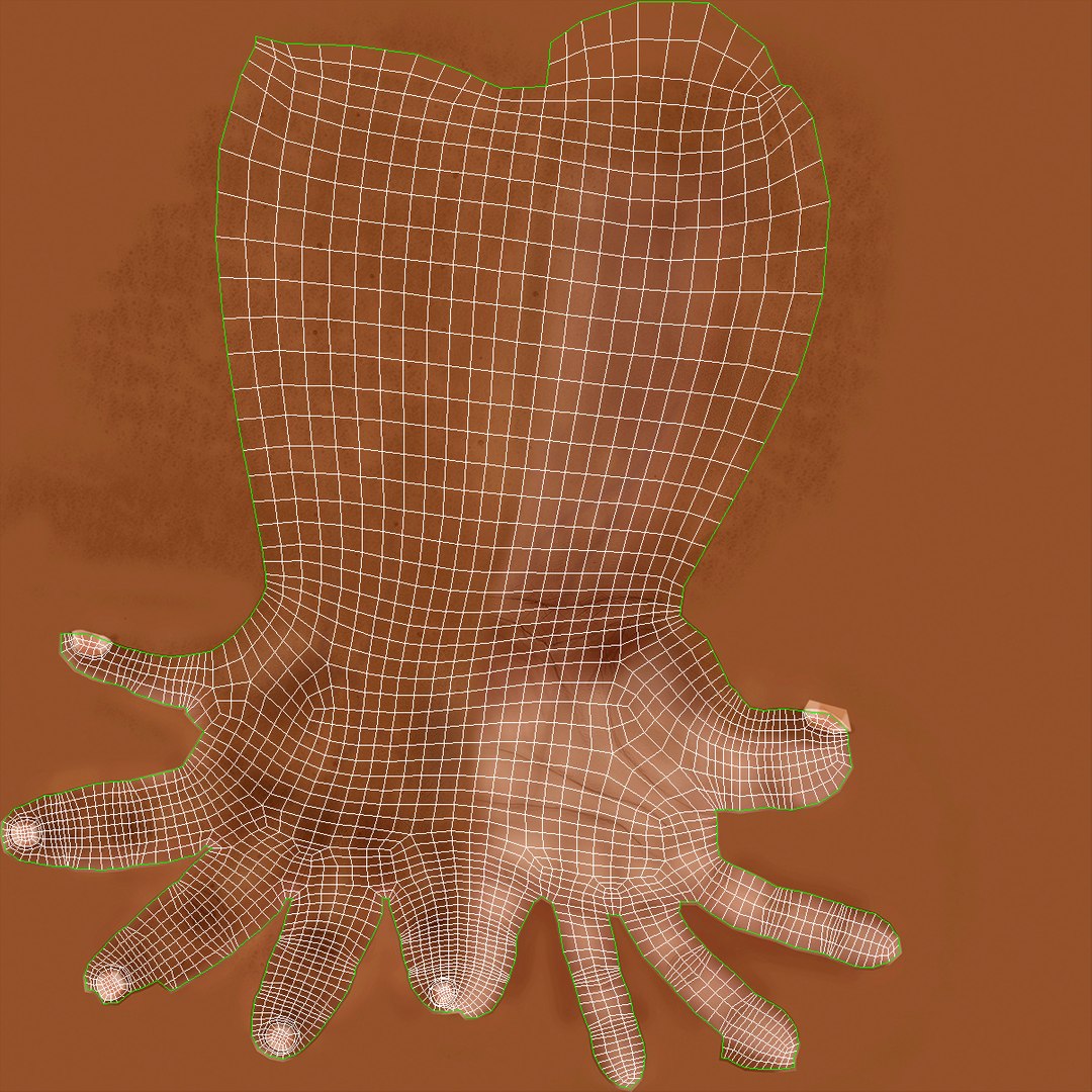 3D Realistic Human Arms And Hands Fur - TurboSquid 2387384
