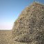 Hay Stack Scene