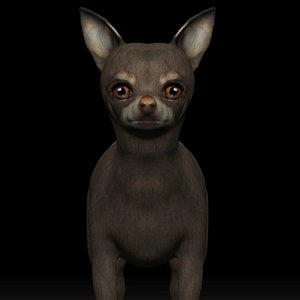 3D fully rigged low poly chihuahua dog