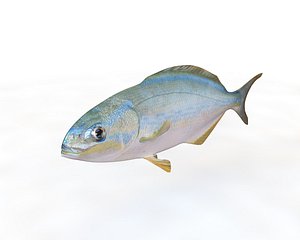 3D fish model