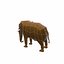 Elefante, caricatura