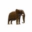 Elefante, caricatura