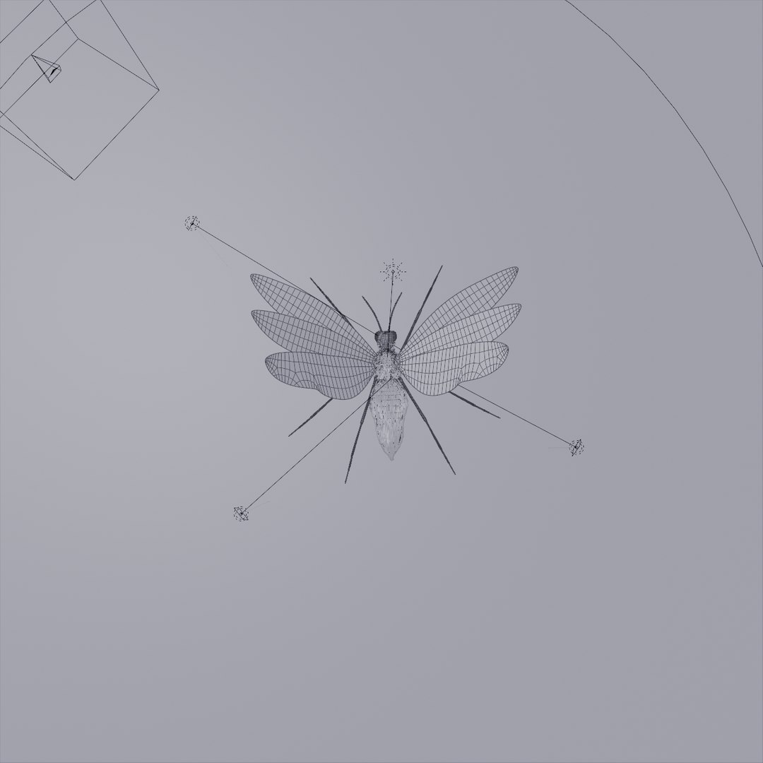insect concept 3D model https://p.turbosquid.com/ts-thumb/wt/TNPXgZ/YwLMvZuI/wireframe/png/1585791097/1920x1080/fit_q87/e20ff31c7a442d4b2784d66c2089d14477283882/wireframe.jpg