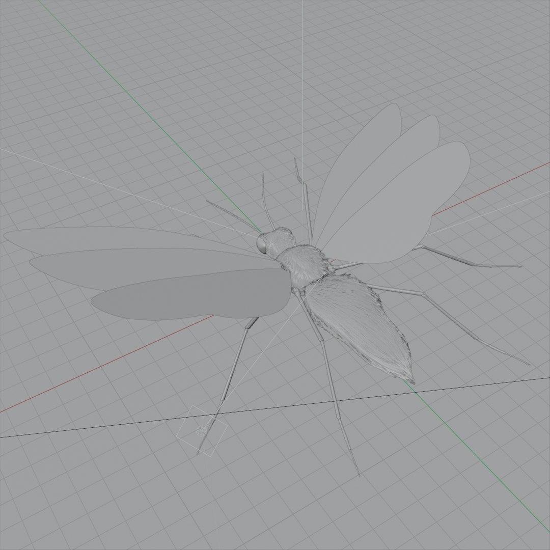 insect concept 3D model https://p.turbosquid.com/ts-thumb/wt/TNPXgZ/c9b0Y4Un/insect.mathcappng/png/1585791120/1920x1080/fit_q87/b91f01458d52c8c3b0518c99770584859dc566e4/insect.mathcappng.jpg