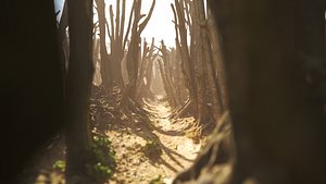 Real Forest Ultra HD 3D model